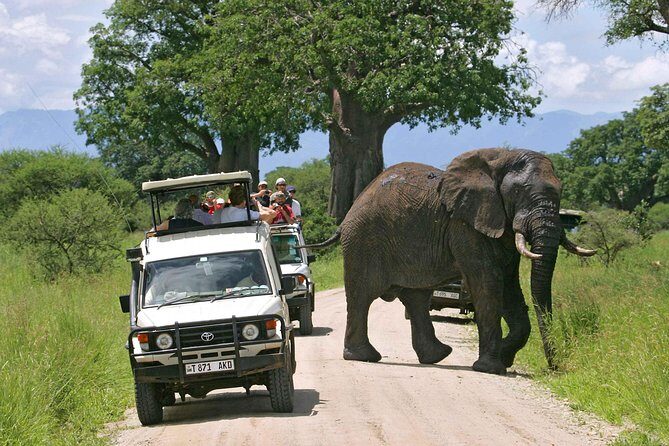 Tarangire National Park: Guided Day Tour from Arusha - Tarangire National Park game drives: baobabs and big herds