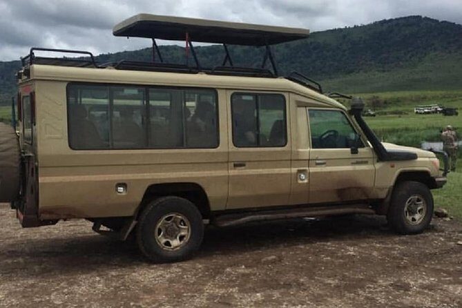 tarangire & ngorongoro 2 days tour - Small group size (max 6) and the guide effect