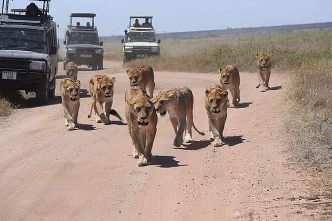 tarangire & ngorongoro 2 days tour - Price and value: what $1,550 per person includes