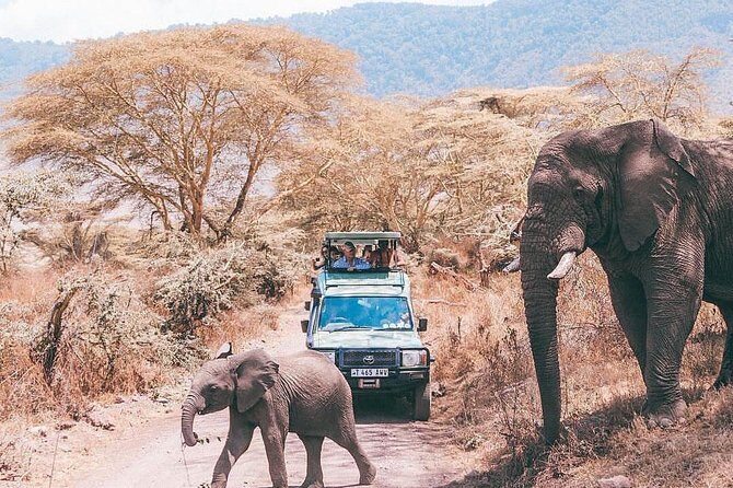 tarangire & ngorongoro 2 days tour - Day 1 evening: dinner plus camping equipment