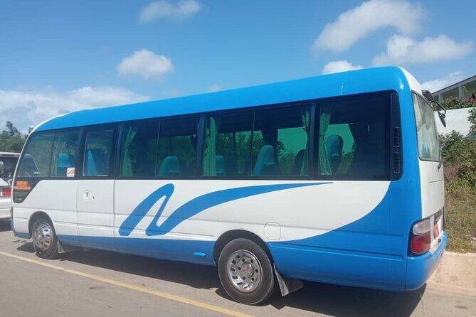 Taxi Services and Transfers Zanzibar - Pickup and Drop-off: You Choose the Starting Point