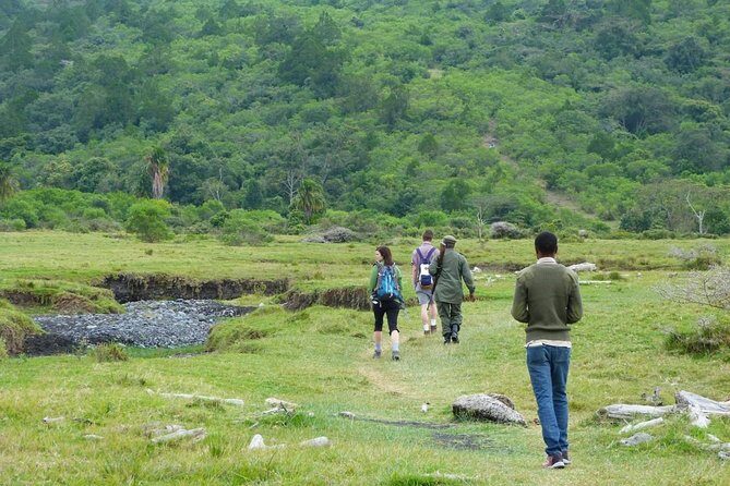 The Amaizing Private Day Trip to the lovely Arusha National Park - Game Drive Highlights: Maasai Giraffes, Antelopes, Zebras, and Birds