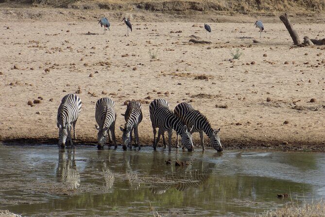 The Amaizing Private Day Trip to the lovely Arusha National Park - Price and Value: What $450 Really Buys You