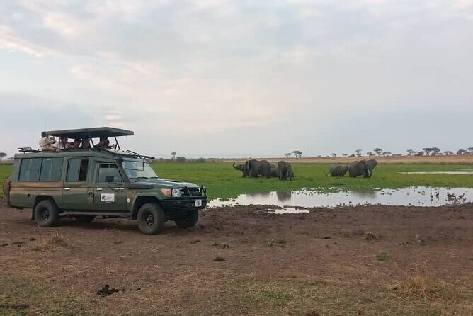The Best 3Days Start from Mwanza to Serengeti' through Viator - Private Transportation and Game Drives: Why It Feels Less Chaotic
