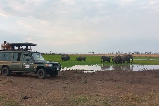 The Best 3Days Start from Mwanza to Serengeti' through Viator - Price and Value: What $1,611.33 Really Covers