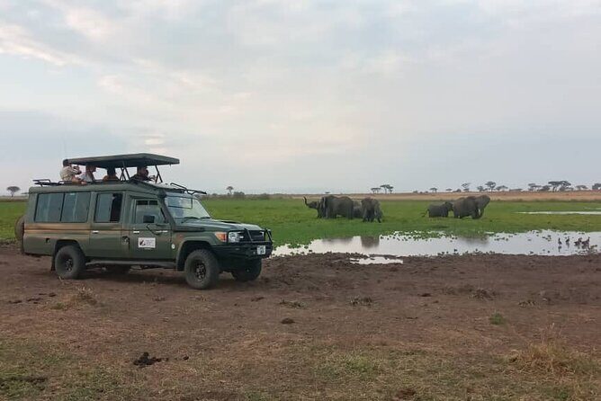 The Best 3Days Start from Mwanza to Serengeti' through Viator - Lodging, Meals, and the Safari Rhythm That Keeps It Enjoyable