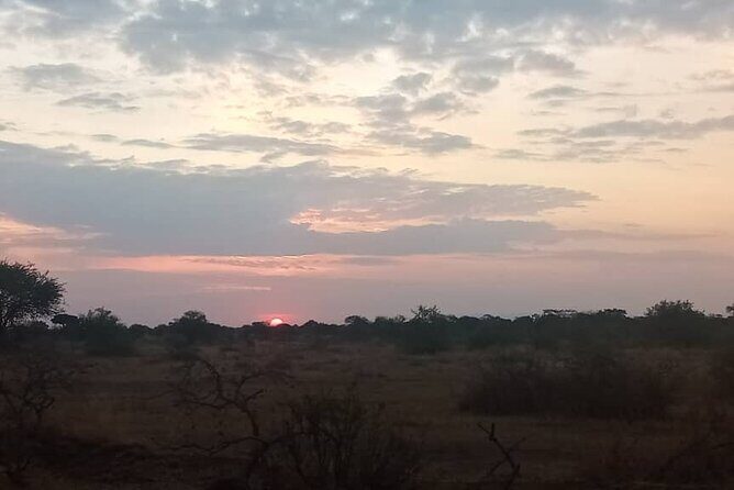 The Best 3Days Start from Mwanza to Serengeti' through Viator - Wildlife Expectations: Big Five Hopes and the Extras That Happen