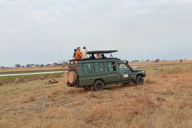 The Best 3Days Start from Mwanza to Serengeti' through Viator - Who This 3-Day Sprint Fits Best (and Who Might Want Longer)