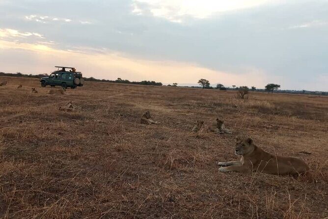 The Best 3Days Start from Mwanza to Serengeti' through Viator - Day 1: Musoma Briefing, Serengeti Arrival, and the Soda-Lake Setting