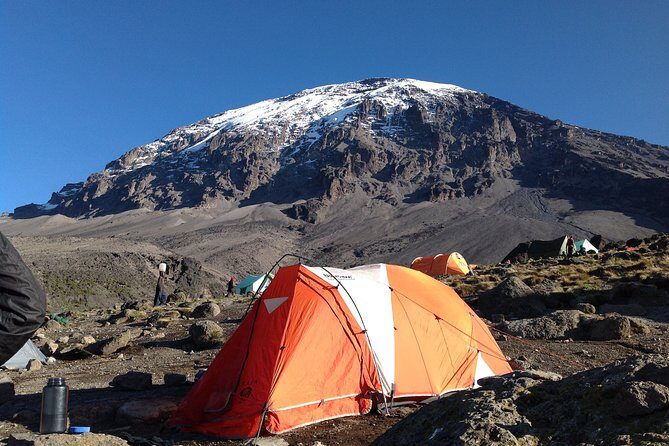 The best 6-Days Kilimanjaro hiking (Machame route)whiskey route - Day 1: Forest floor breathing at Machame Hut (3,000m)