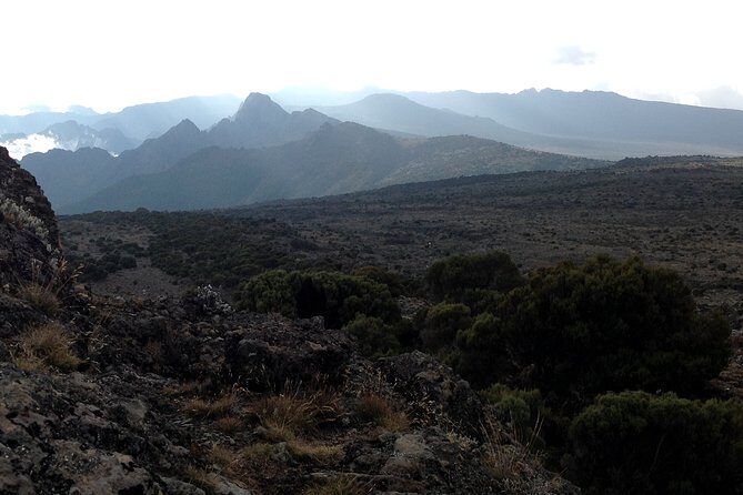 The best 6-Days Kilimanjaro hiking (Machame route)whiskey route - Day 2: Shira Cave area (3,840m) and the crater views
