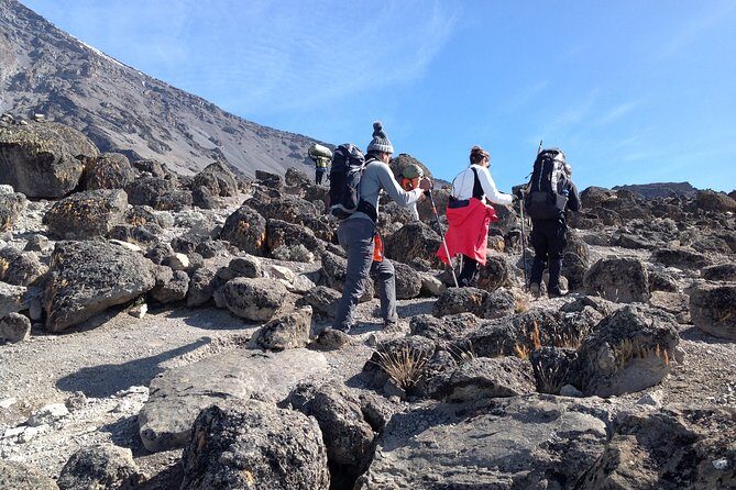 The best 6-Days Kilimanjaro hiking (Machame route)whiskey route - Price and value: why $1,968 might be fair