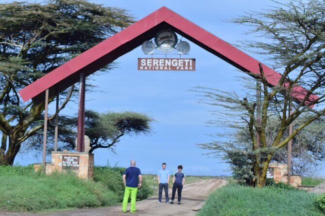 The Best and Most Affordable 4-Day Tanzania Budget Private Safari - Day 2: Full-Day Serengeti and the Great Migration Timing Question