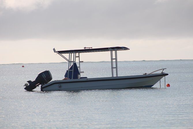 The Rock Restaurant by Speed Boat - Should you book this tour?