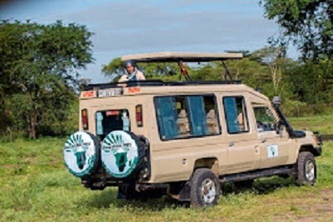 The Top Rated 6-Day Serengeti Budget Camping Safari in Tanzania - Day 6 Lake Manyara to Arusha: tree-climbing lions and a calmer farewell