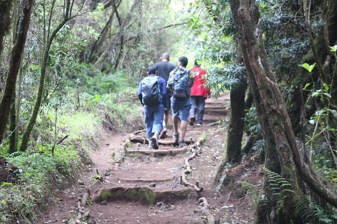Top 5 Days Kilimanjaro Hiking | Climbing Tour by Marangu Route - Logistics that make or break your trip