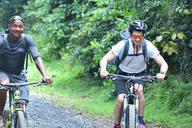 Top 6 Days Mt. Kilimanjaro Bike trek Tour by Marangu-Kilema Route - Day 6: Final descent to Kilema Gate, then back to Moshi