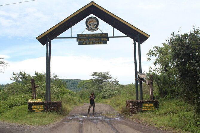 Tour at Arusha National Park - Key highlights to expect