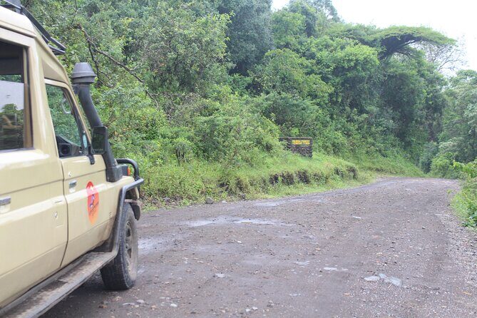 Tour at Arusha National Park - Picnic lunch inside the park: a real break, not a road stop