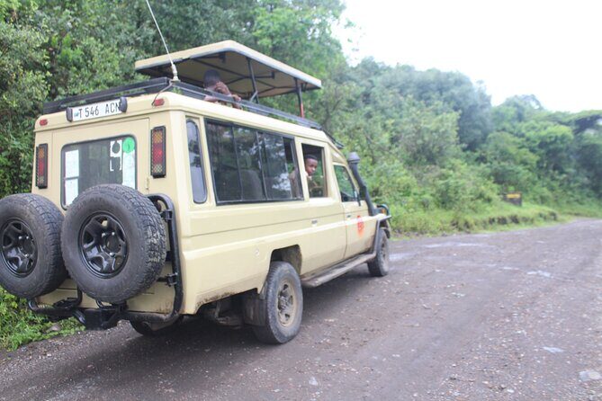 Tour at Arusha National Park - Afternoon game drive: second chances and calmer viewing
