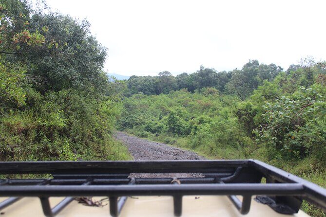 Tour at Arusha National Park - Walking safari and canoe safari: add-ons that change the pace