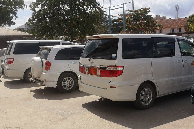 Transport in Zanzibar - Zanzibar Airport to Stone Town: Meeting Your Driver Without Stress