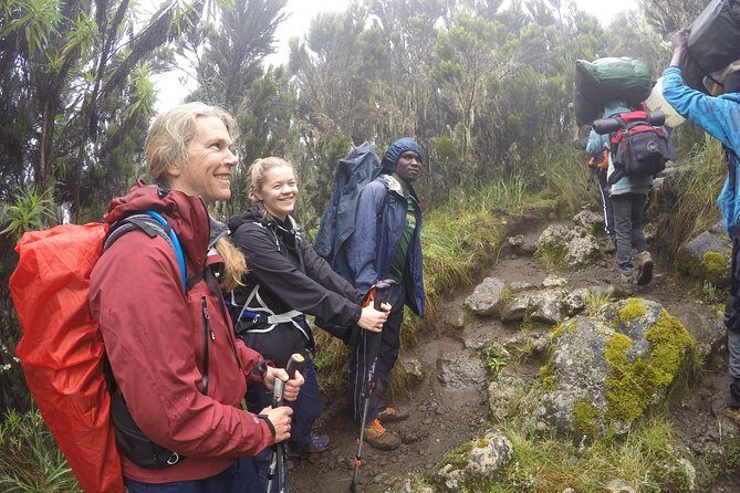Trek To Mount Kilimanjaro - Moshi Hotel Nights: The Buffer That Makes a Short Climb Work
