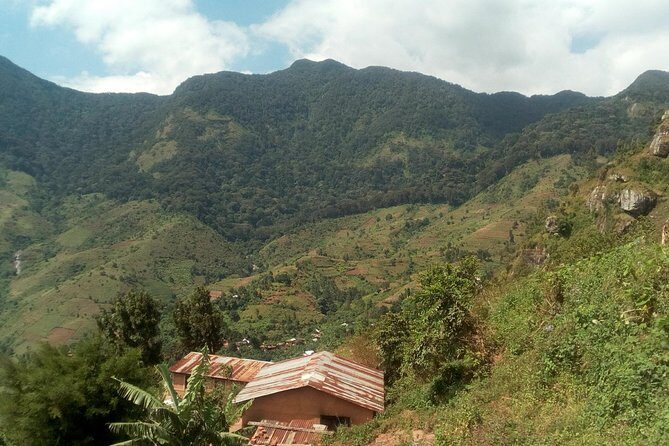 Uluguru mountain overnight 2 nights 3 days - Day 3: Return trek to Morogoro town and closure on the trail