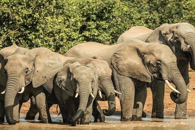 Unforgettable 5 days Tanzania Private Budget Camping safari - Key highlights you’ll feel on the ground