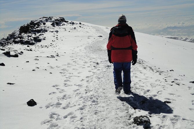 Unforgettable 8 Days Lemosho Route Trekking on Kilimanjaro - Lemosho from Londorossi: why the west approach feels so good