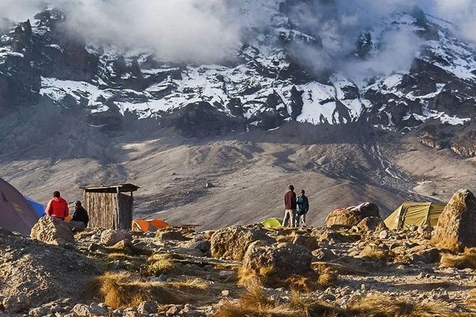 Unforgettable 8 Days Lemosho Route Trekking on Kilimanjaro - Day 3: Shira Plateau acclimatization walk to Shira Camp Two