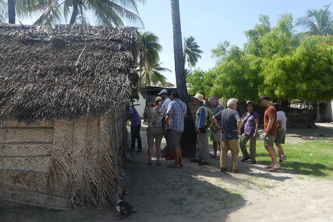 Village Tour With Witch Doctor Visit - The witch doctor visit: natural medicine and how locals define healing