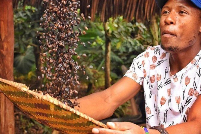 Waterfalls, Coffee, Hotsprings, Food Cuisine, & Serval Wildlife - Key things to know before you go