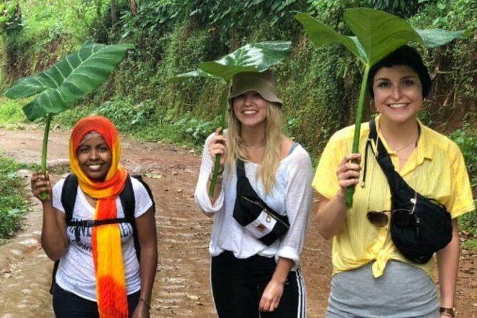 Waterfalls, Coffee, Hotsprings, Food Cuisine, & Serval Wildlife - Who this tour is best for (and when you might want to choose something else)