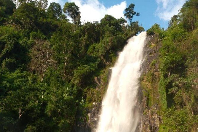 Waterfalls, Coffee, Hotsprings, Food Cuisine, & Serval Wildlife - Stop 2: Kikuletwa Hot Springs and that surreal turquoise water