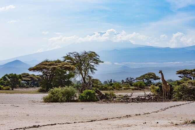 West Kilimanjaro cycling Adventures - Guides, wildlife spotting, and why the private format feels different
