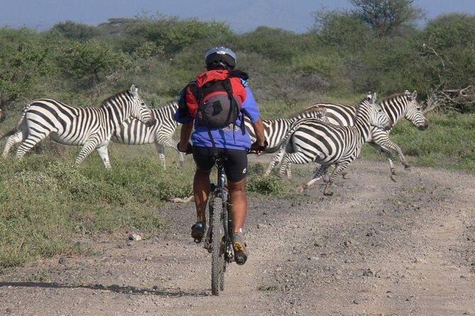 West Kilimanjaro cycling Adventures - The route vibe: acacia woodland, open plains, and Kilimanjaro views