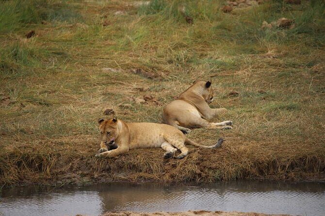Wildlife Extravaganza: Manyara, Tarangire & Ngorongoro in 3 Days - Why this 3-day safari route makes sense from Moshi
