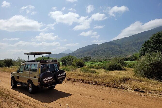 Wildlife Safari Tanzania - The human factor: guide knowledge and camp teamwork (Magoma and Niki show up)