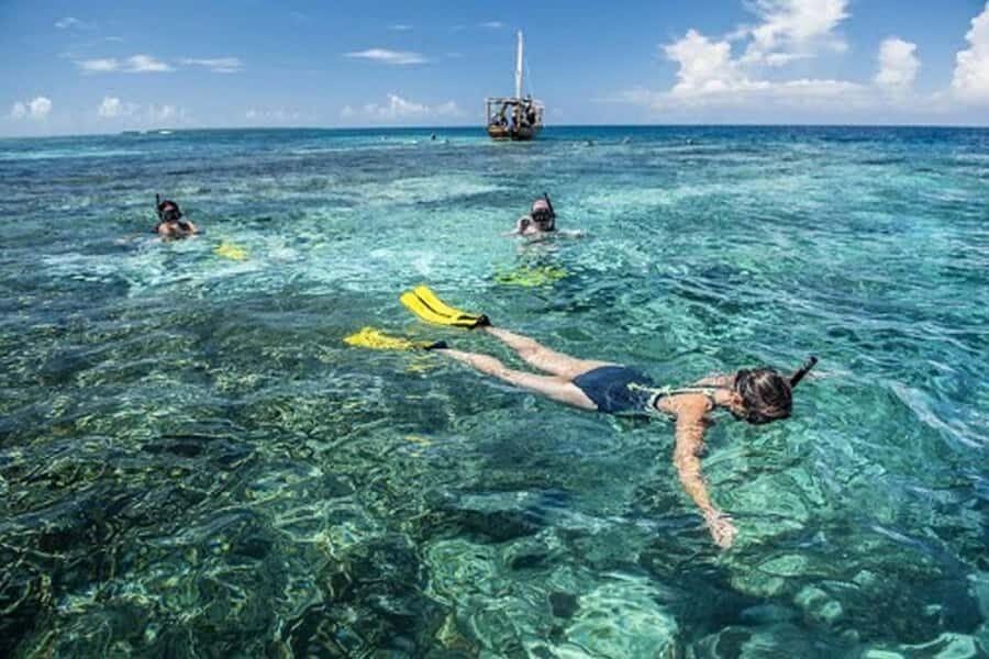 Zanzibar : 1 Day Blue Safari, Blue horizon experience - Getting to Fumba: pickup options and how to stay on time