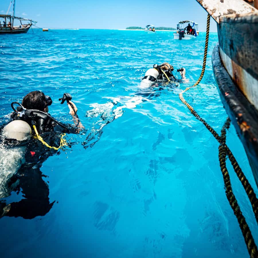 Zanzibar: 1 Day Blue Trip with 2 Stunning Scuba Dives - Key Highlights You’ll Feel Immediately