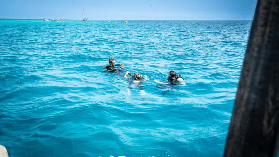 Zanzibar: 1 Day Blue Trip with 2 Stunning Scuba Dives - Should You Book This 1-Day Zanzibar PADI Blue Trip?