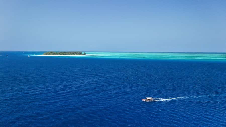 Zanzibar: 1 Day Blue Trip with 2 Stunning Scuba Dives - Pickup, Van Transfer, and the Morning Setup