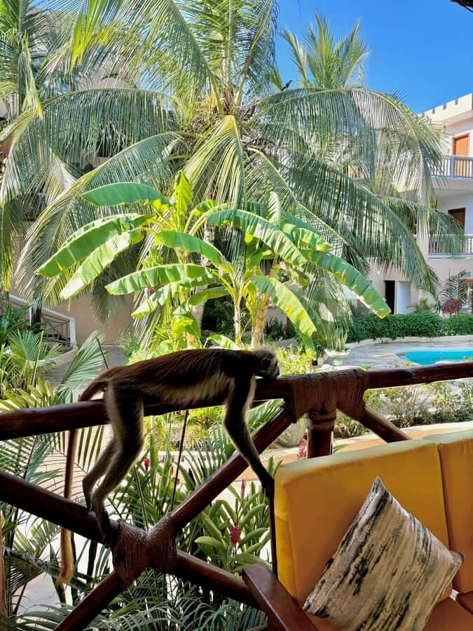 Zanzibar: 1 Day Pass all inclusive island Resort experience - Family-friendly options that go beyond a children’s splash