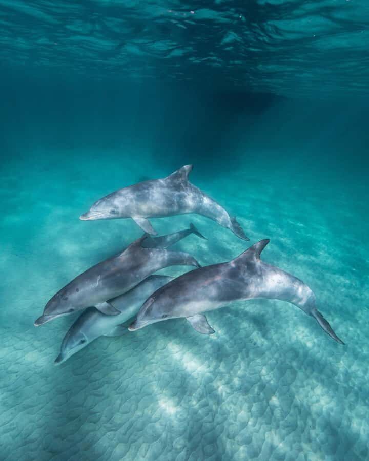 Zanzibar: 3-Day Tour with Snorkeling Adventure with Lunch - Nakupenda Sandbank: seafood lunch, swimming time, and beach spacing