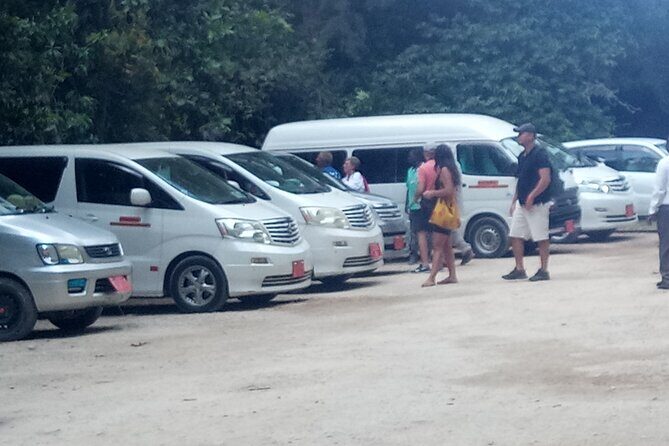 Zanzibar Airport Private Transfer to/from Hotel - The Meet-and-Greet That Saves the First Hour