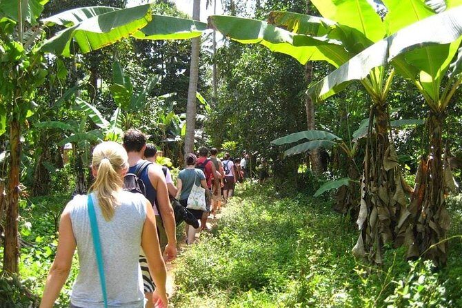 Zanzibar Aromatic Spice Farms Tour - Your 3-Hour Route: Smell, Taste, and See Growth Stages Up Close