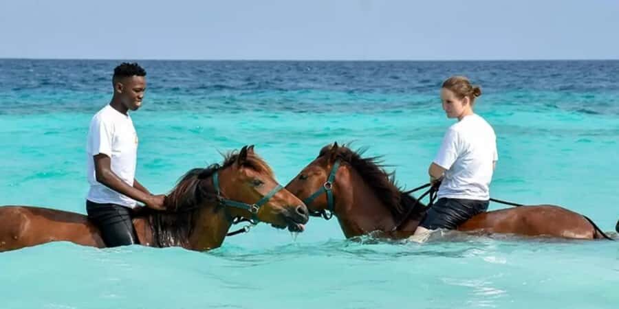 Zanzibar: Beach Horseback Ride and Swim with the Horse - Beach horseback riding in Zanzibar: what makes it special