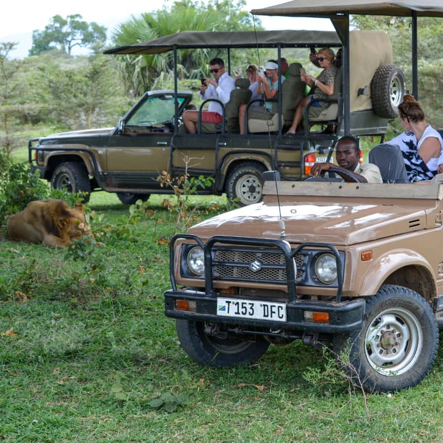 Zanzibar: Best Selous Day Safari with Flights & Lunch - Bush Lunch at Set Tables: Why the Meal Matters