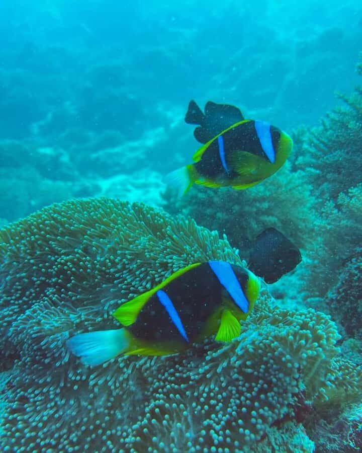 Zanzibar: Blue Lagoon, Rock Restaurant, Cave, and Beach Trip - Key things I’d plan around